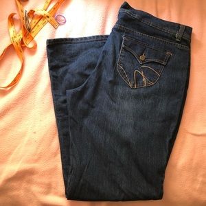 Gloria Vanderbilt Isadora Woman’s Jeans 18X32